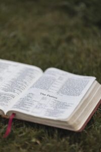 bible, christianity, religion, bible study, bible verse, bible reading, book, pages, christian bible, god, grass, christian symbol, word of god, nature, scripture, holy, christian background